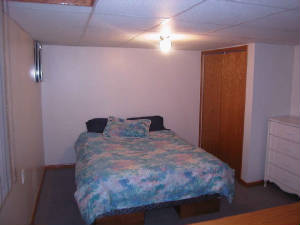 lowerlevelbedroom.jpg