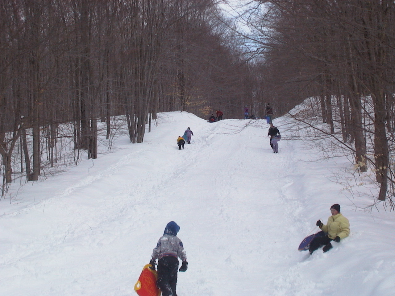sledding.jpg