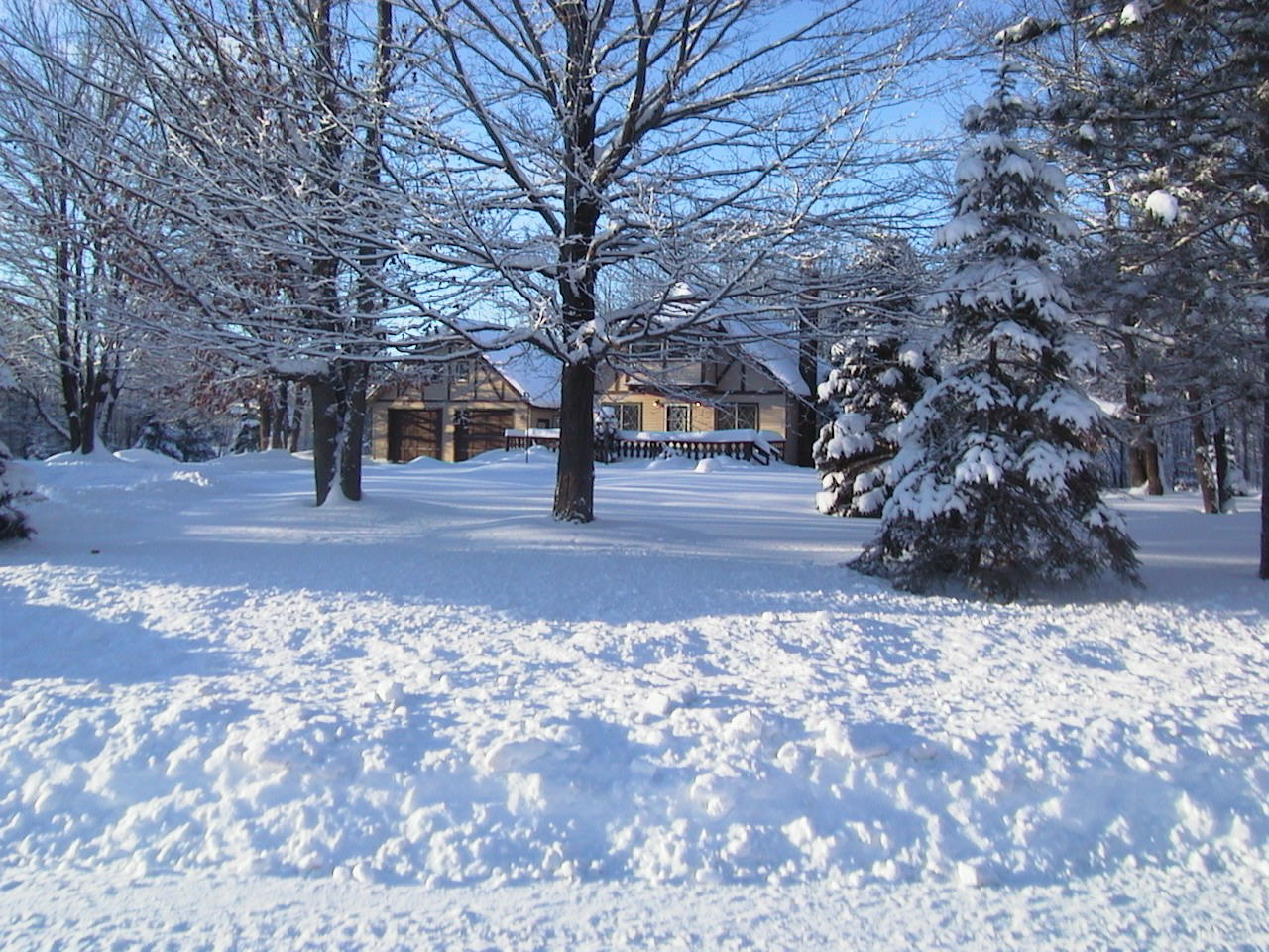 snowchalet2.jpg
