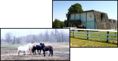 stables1.gif