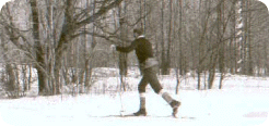 wintersports2.gif