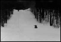 wintersports2.jpg
